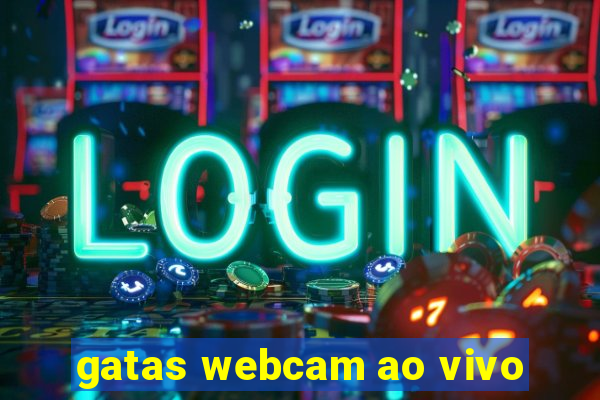 gatas webcam ao vivo